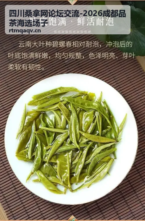 成都品茶海选预约指南